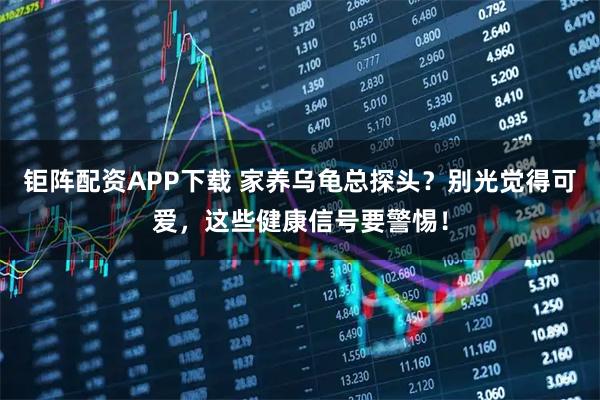 钜阵配资APP下载 家养乌龟总探头？别光觉得可爱，这些健康信号要警惕！