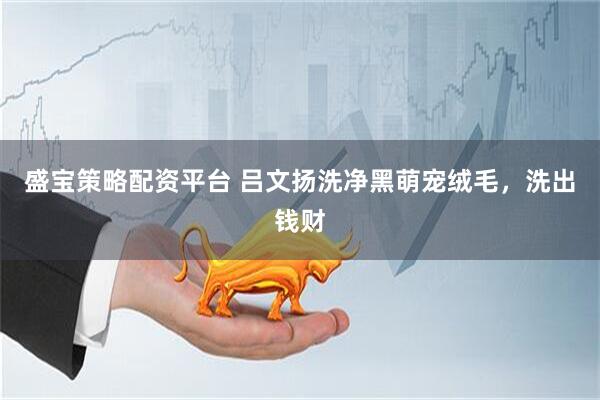 盛宝策略配资平台 吕文扬洗净黑萌宠绒毛，洗出钱财