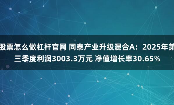 股票怎么做杠杆官网 同泰产业升级混合A：2025年第三季度利润3003.3万元 净值增长率30.65%