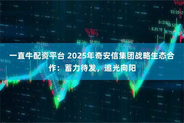 一直牛配资平台 2025年奇安信集团战略生态合作：蓄力待发，追光向阳