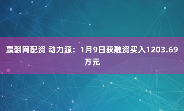 赢翻网配资 动力源：1月9日获融资买入1203.69万元